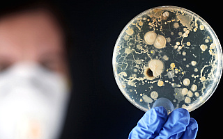 Kilkaset przypadków zakażenia bakterią New Delhi w kraju. Warmia i Mazury wśród zagrożonych województw